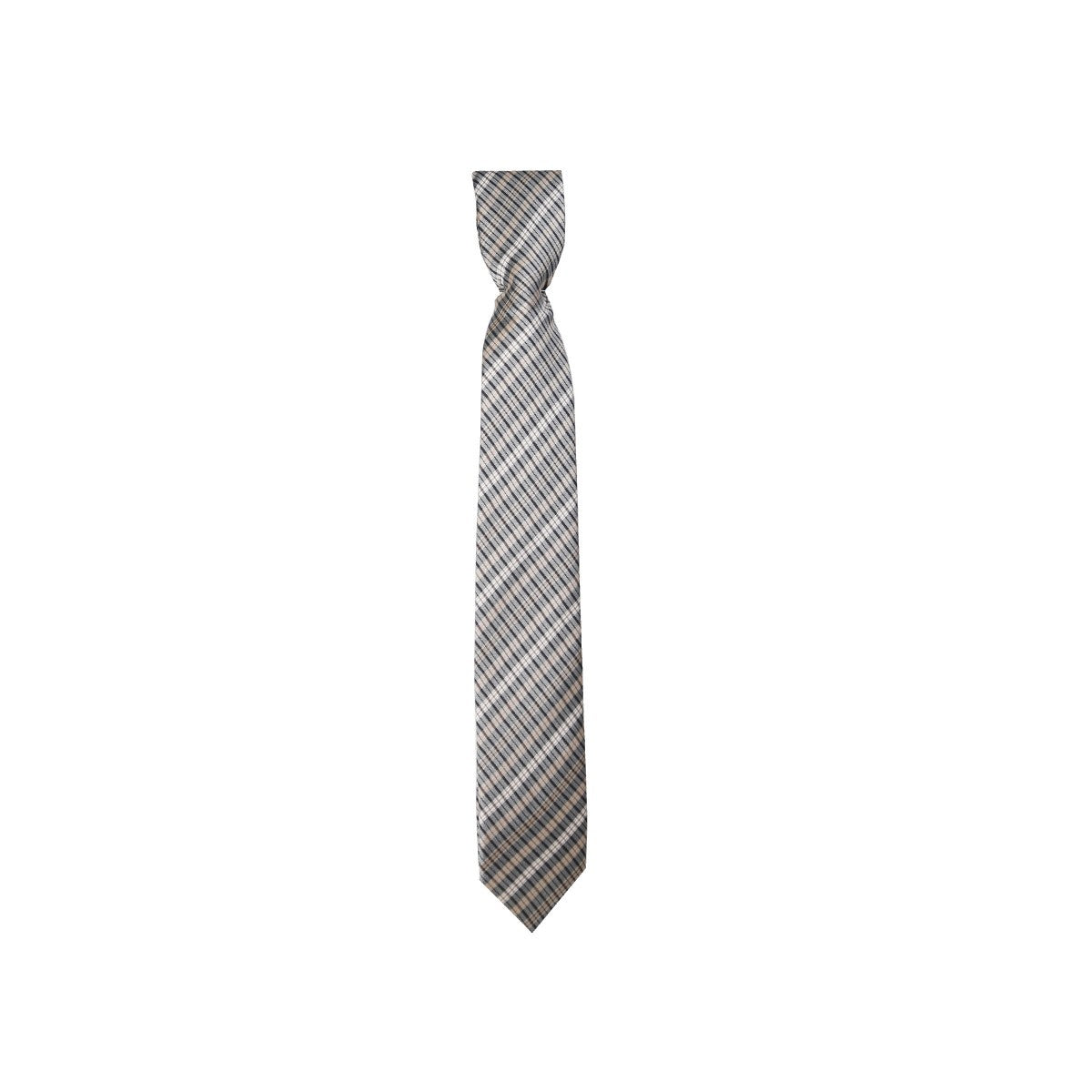 Boys Plaid Checkered Tie Beige and Silver