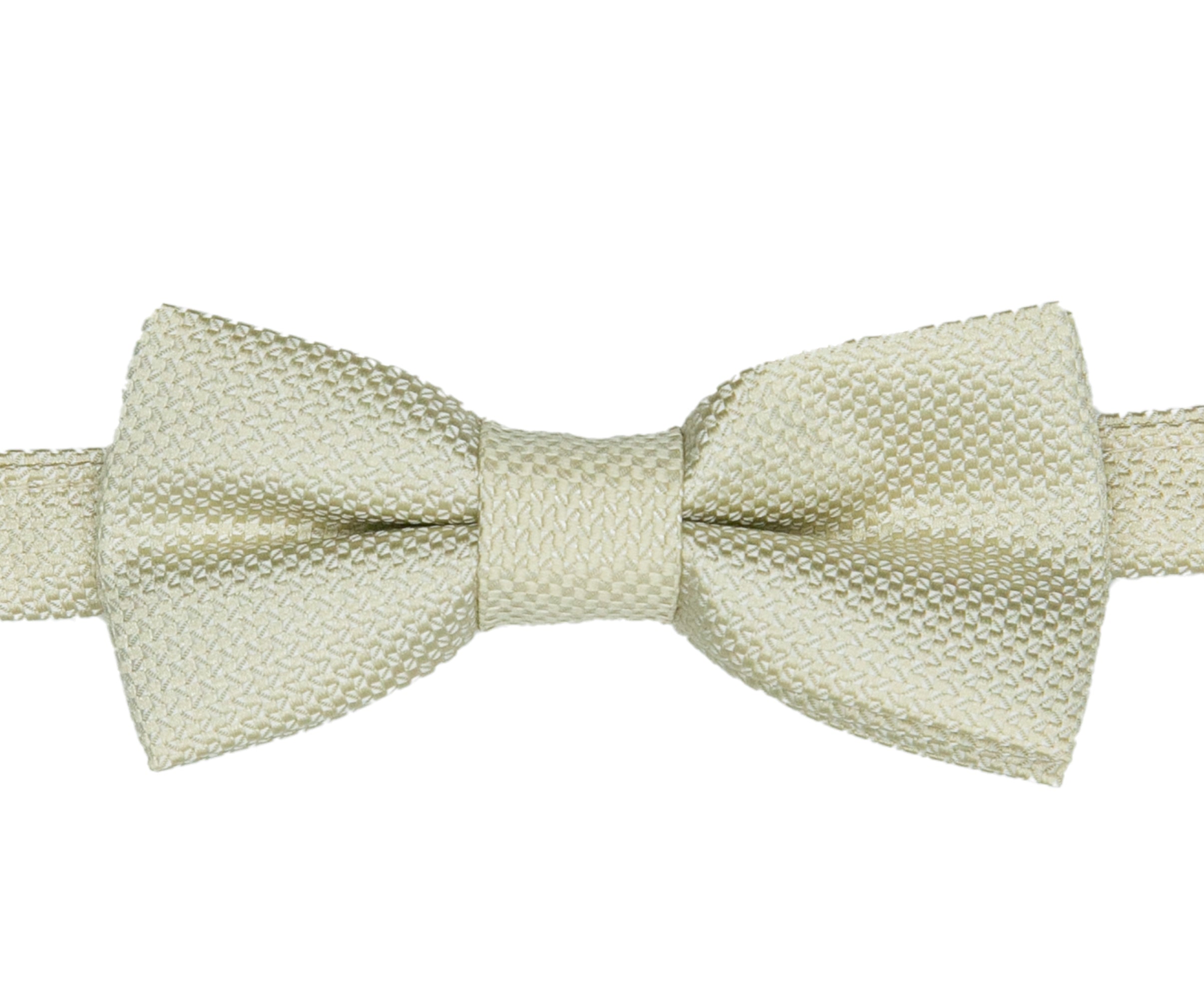 Boys' Pre-Tied Jacquard Dickie Bow Tie Neckwear  - Beige