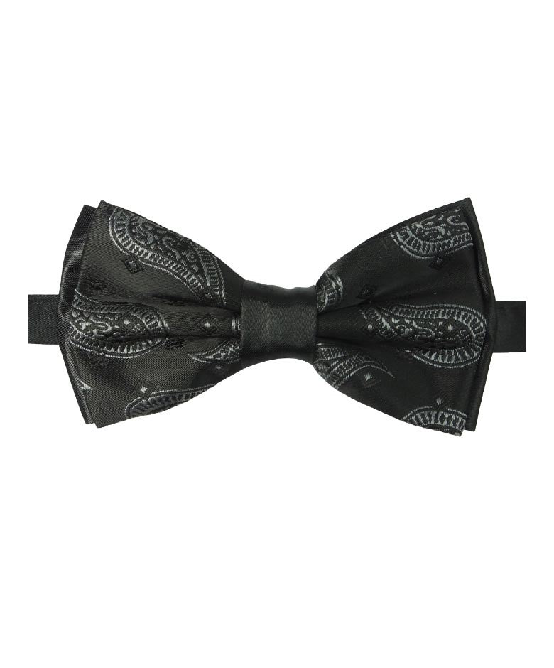 Ensemble nœud papillon et pochette de costume à motif cachemire pour garçons et hommes - Noir et Blanc